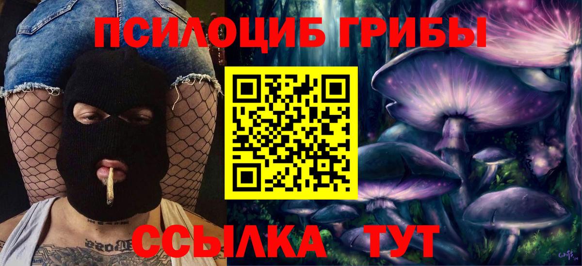 Псилоцибиновые грибы GOLDEN TEACHER Моршанск