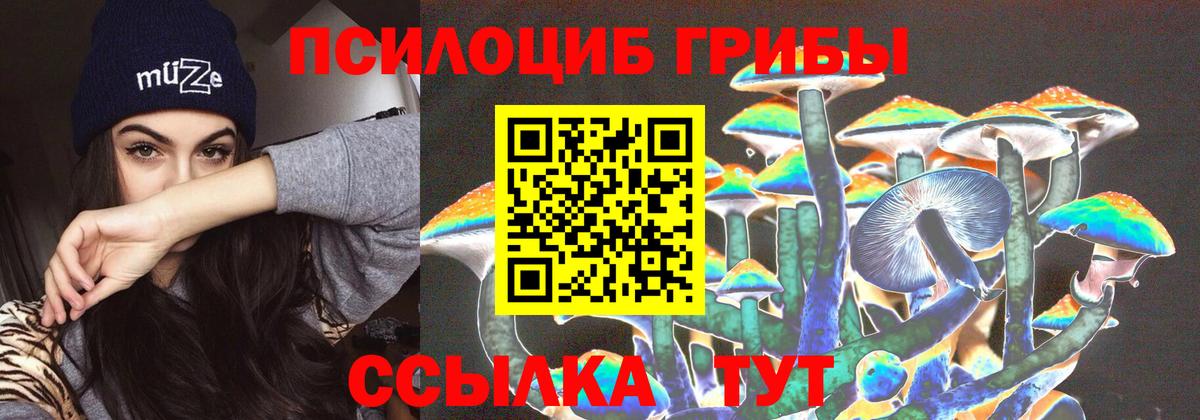 Псилоцибиновые грибы ЛСД  Вход с VPN  Галлюциногенные грибы Cubensis  купить  цена  Моршанск 